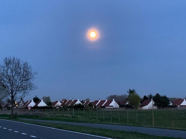 Duinendaele 232 Met Sauna Bij Plopsaland En Natuurreservaat De Panne Exterior foto